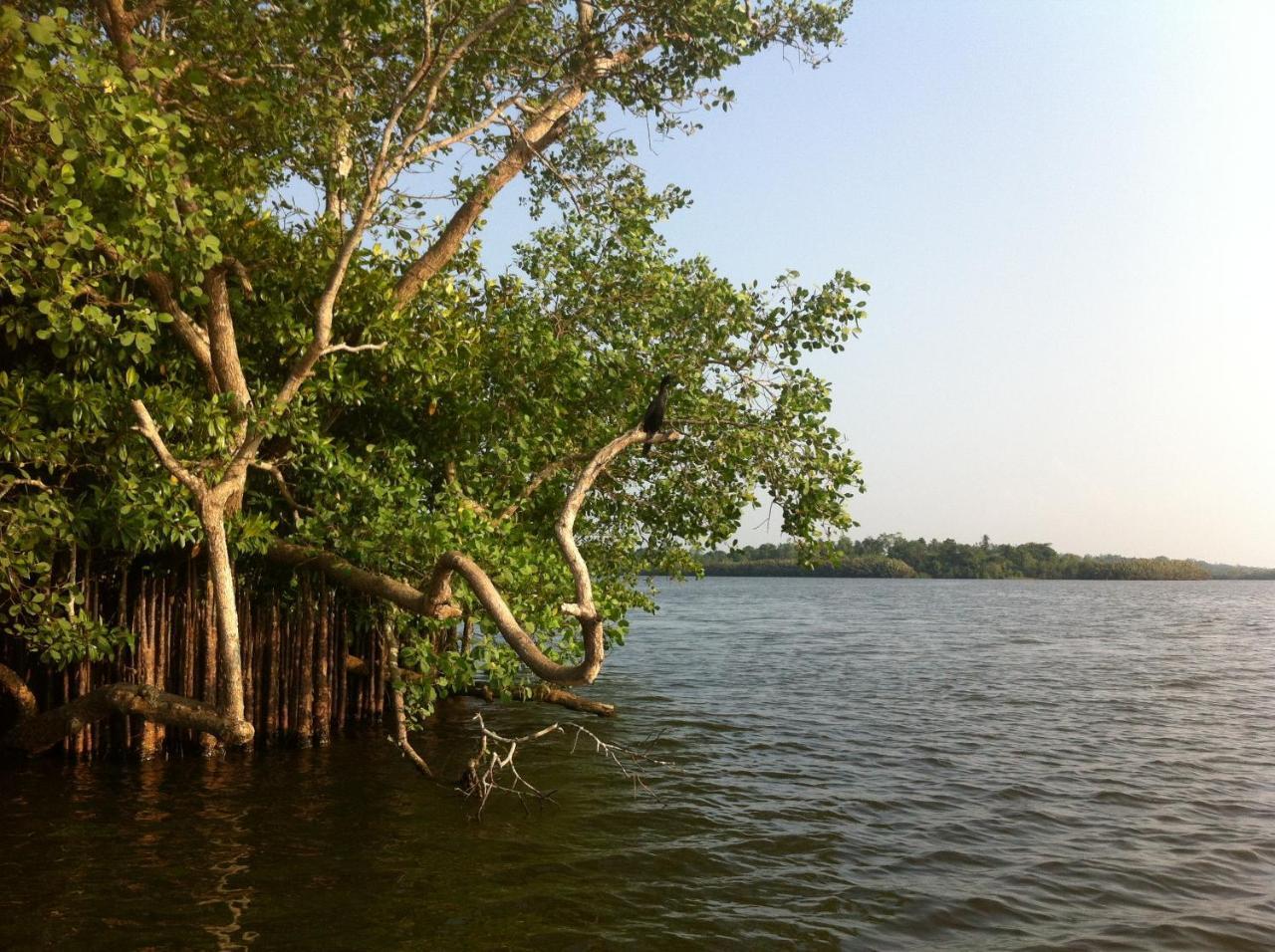 Lake Life Villa อัมบาลังโกดา ภายนอก รูปภาพ